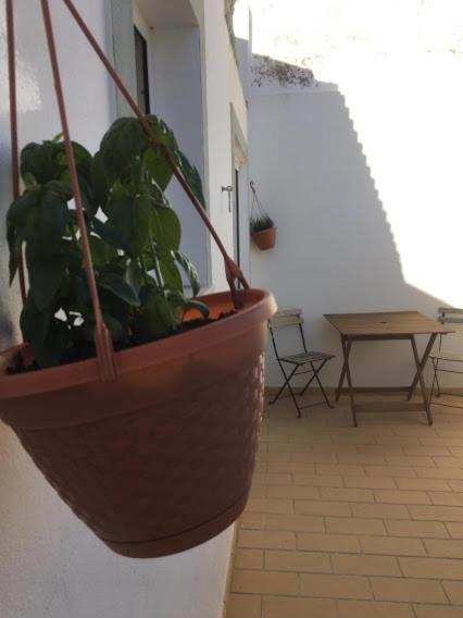 Casa Da Madrinha Villa Vila do Bispo Ngoại thất bức ảnh